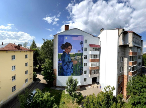 20 новых граффити украсили здания Вологды 